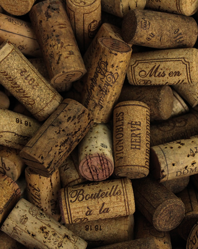 программа лояльности